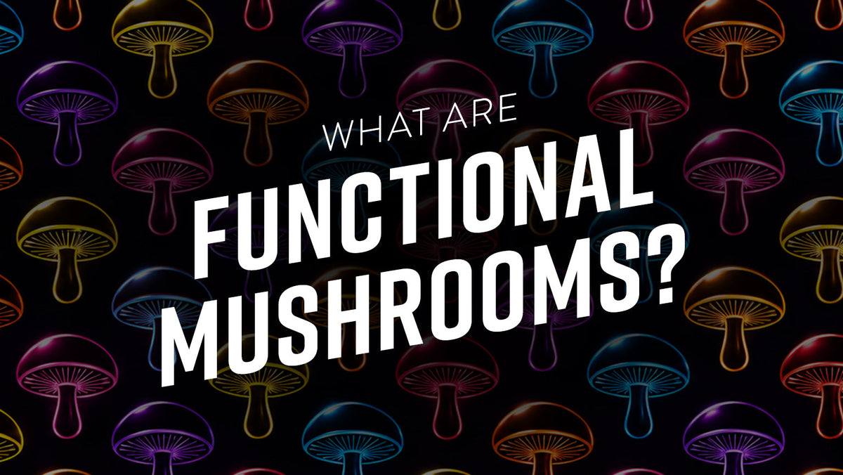 What Are Functional Mushrooms? Benefits, Types, and Why They're in Energy Drinks